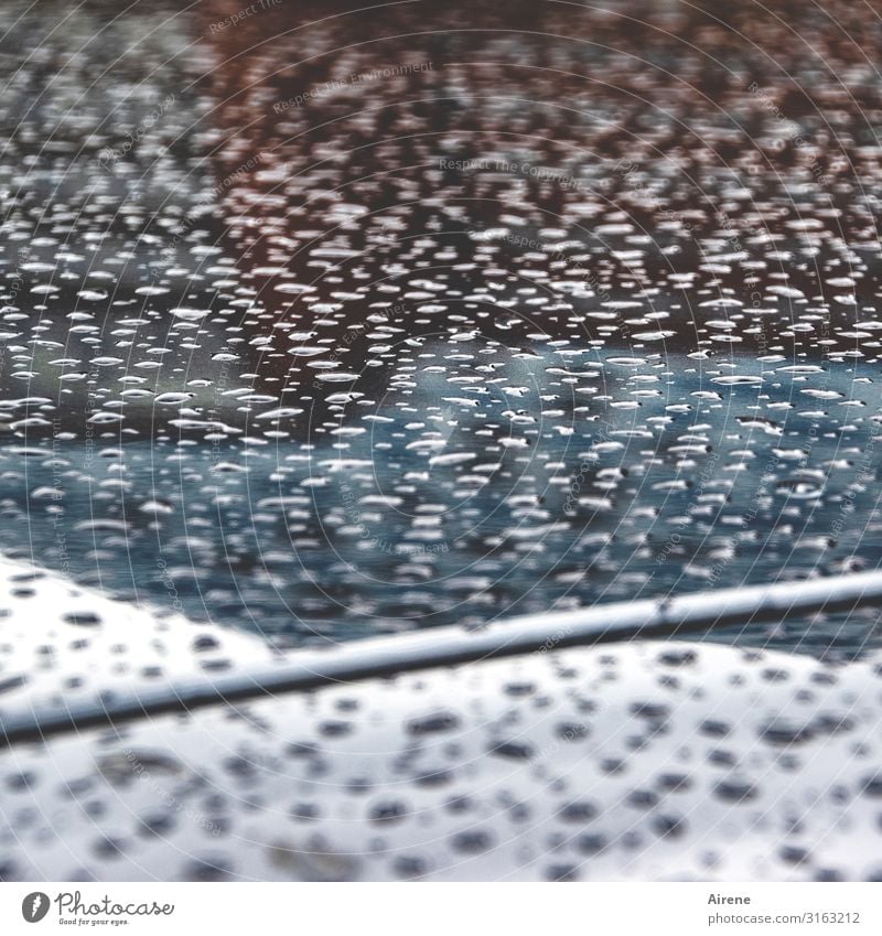 Raindrops knocking on my car | UT Hamburg Concert Hall Drops of water Autumn Bad weather Tourist Attraction Elbe Philharmonic Hall Car Car Hood Car paint