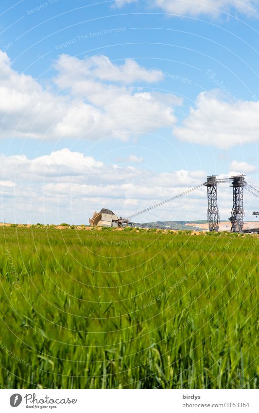 In front of the pit edge Agriculture Forestry Soft coal dredger Environment Landscape Sky Clouds Spring Climate change Beautiful weather Field Grain field