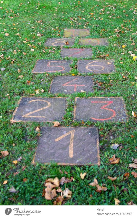 Stone slabs with painted numbers, jumping game for children on a meadow Environment Nature Plant Grass Leaf Playing Playing field Digits and numbers Exceptional