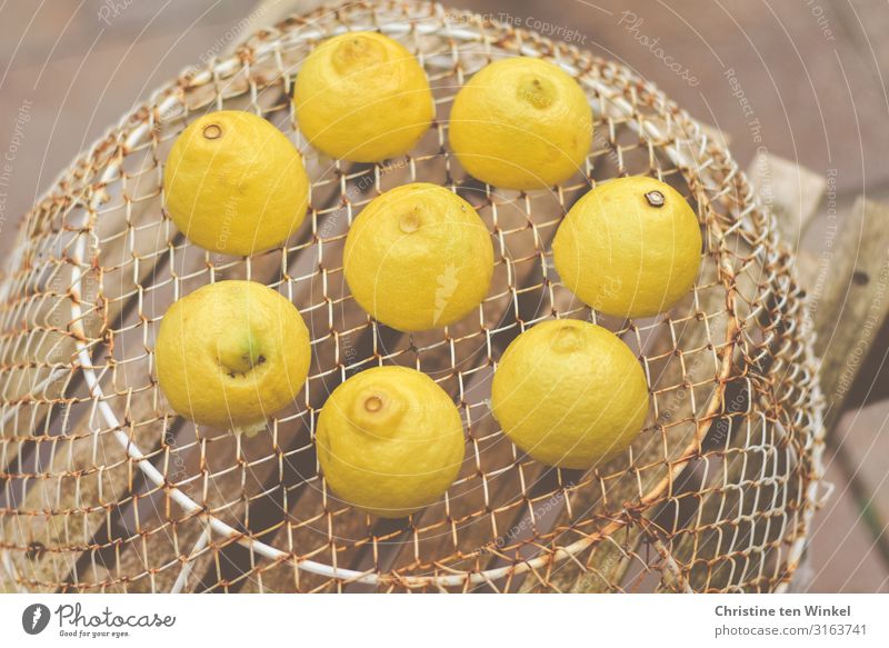Lemons on a wire basket standing on a wooden chair Food Fruit Nutrition Basket Grating Wood Metal Lie Esthetic Exceptional Brash Happiness Fresh Healthy
