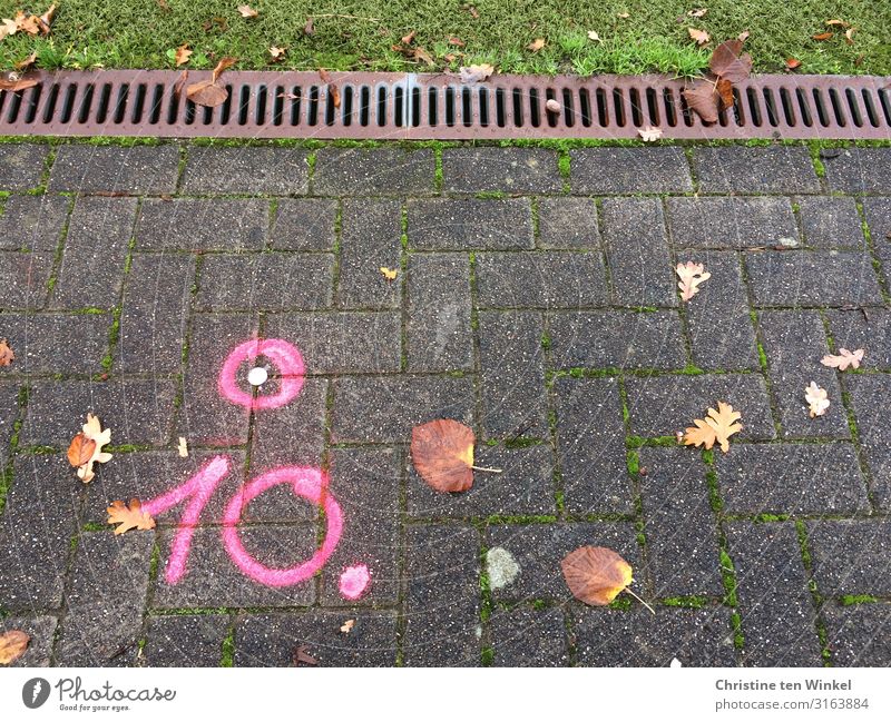 pink 10 on paved path Grass Leaf Lanes & trails Stone Metal Digits and numbers Signs and labeling Graffiti Line Circle Cool (slang) Sharp-edged Pink Colour