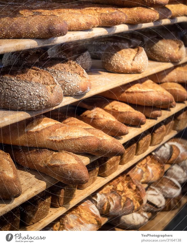 Round Breads And Long French Loaves On Shelves Baked Goods