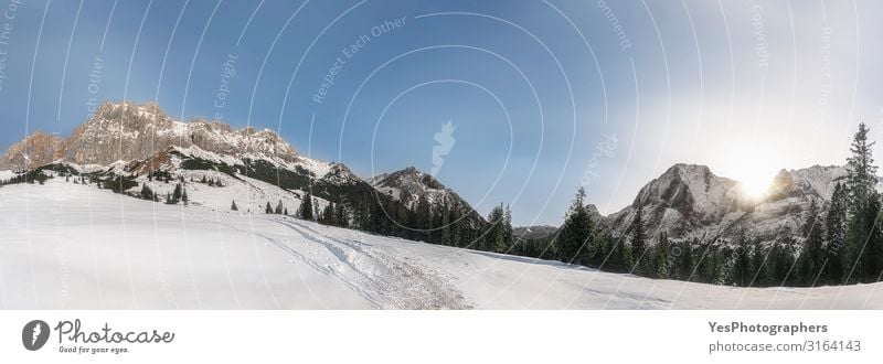 Winter panorama with snowy Alps mountains. Snow-covered nature Sun Mountain Nature Landscape Climate change Weather Beautiful weather Peak Bright White