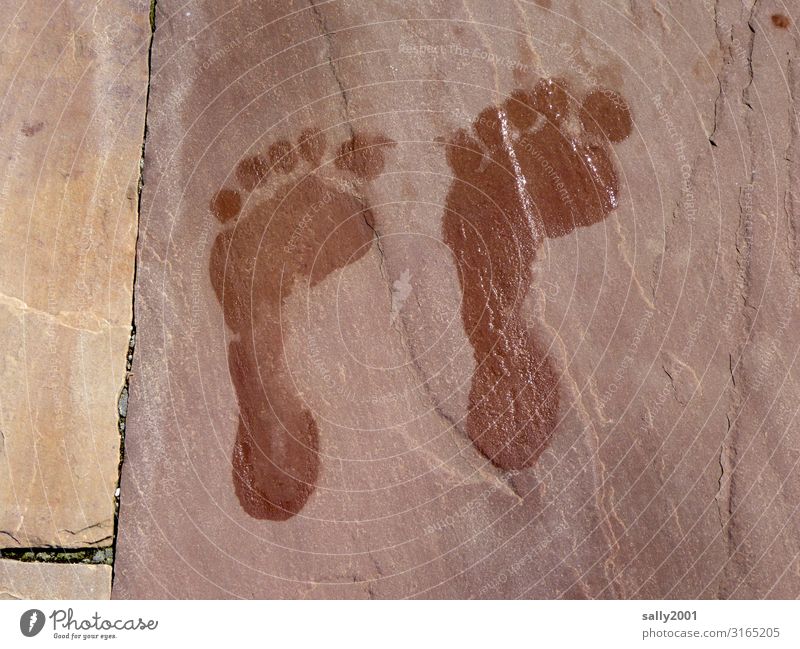 two left feet... Feet 2 Human being Contentment Uniqueness Joy Whimsical Irritation Wet Tracks Footprint Toes Tile Swimming & Bathing Left Parallel Colour photo