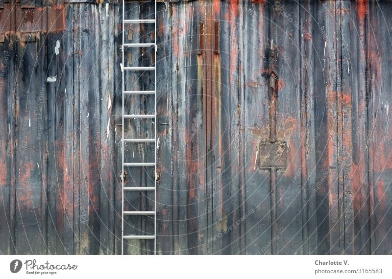 Still life with bucket | UT HH19 Workplace Industry Shovel Ladder Wall (barrier) Wall (building) Harbour Metal Line Old Authentic Exceptional Dirty Dark Simple
