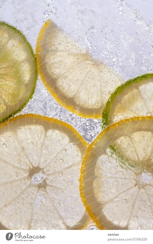 Lemon and lime slices in ice water Slices of lime Slice of lemon Frozen water Fruit Organic produce Beverage Cold drink Drinking water Wet Round Sour Yellow