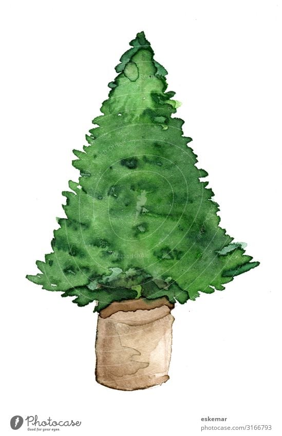 Christmas tree in pot, watercolour on paper Feasts & Celebrations Christmas & Advent Art Work of art Painting and drawing (object) Watercolors Painted Tree