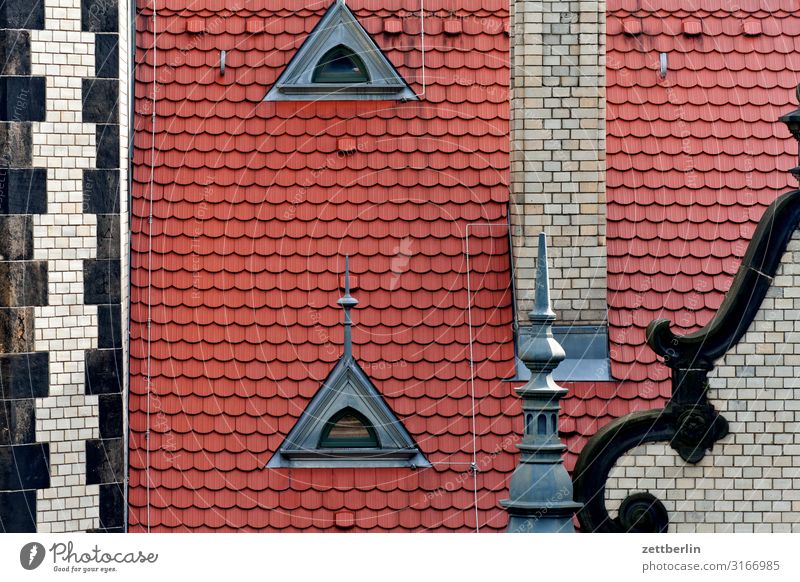 baroque roof Old town Architecture Blaues Wunder Dresden Capital city Vacation & Travel Travel photography Saxony Town City trip Tourism White deer Roof