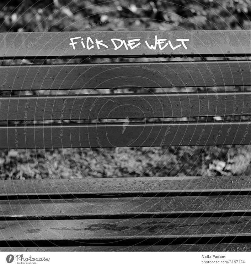 Dick Wie Felt Bochum Germany Europe Town Deserted Wood Graffiti Sit Gray Black Aggravation Grouchy Frustration Embitterment Communicate Bench Park bench Colour