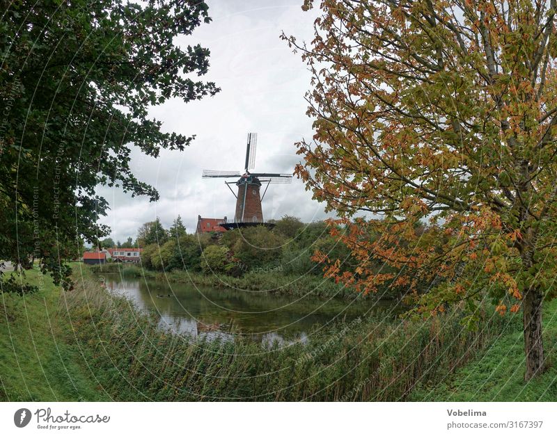 Windmill De Koornbloem in Goes, Netherlands Manmade structures Europe dutch cornflower flour cornflower mill Landmark windmill Zeeland Channel Autumn