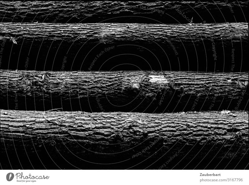 Lying tree trunks Calm Forestry Nature Tree Tree trunk Tree bark Stack of wood Wood Lie Dark Large Gray Black White Endurance Death Disappointment