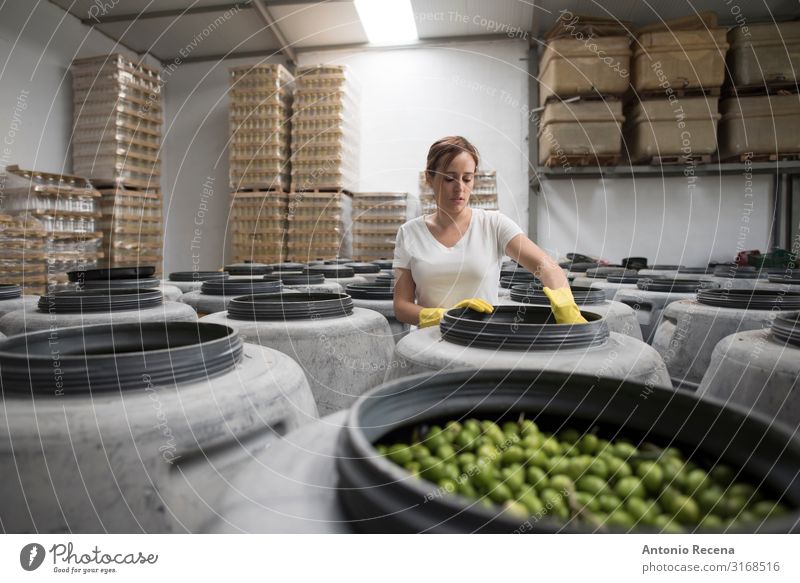 olives quality Food Vegetable Fruit Lifestyle Human being Feminine Woman Adults 1 30 - 45 years Work and employment Old Olive Olive oil Industry Profession