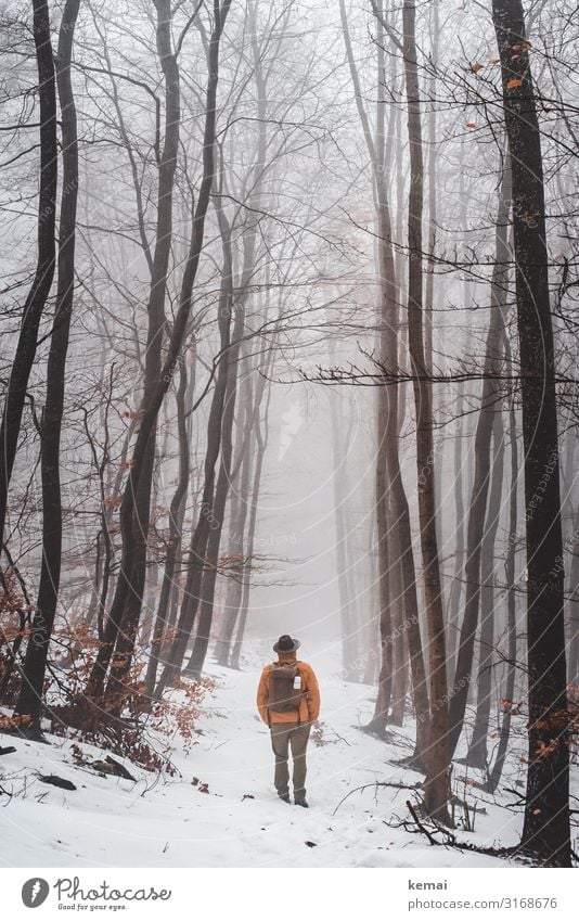 Man with hat and rucksack in the forest in winter, rear view Lifestyle Harmonious Well-being Contentment Senses Relaxation Calm Leisure and hobbies Trip