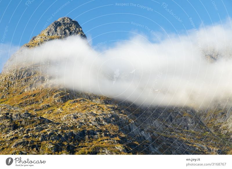 flatter Vacation & Travel Environment Nature Landscape Elements Sky Clouds Autumn Beautiful weather Fog Rock Mountain Peak Lofotes Norway Scandinavia Point Blue