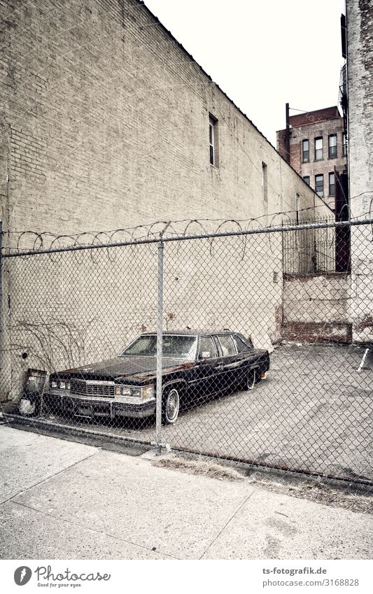 Long-term parkers in the Bronx The Bronx New York City Town Downtown Deserted Wall (barrier) Wall (building) Facade Fence Barbed wire fence Wire netting fence