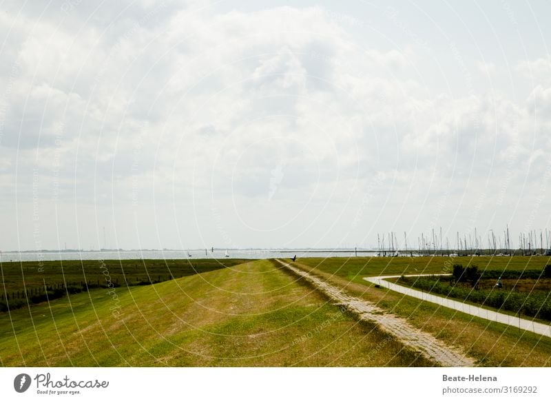 The journey is the destination 2 Plain Ocean coast Water Landscape Sky Lanes & trails