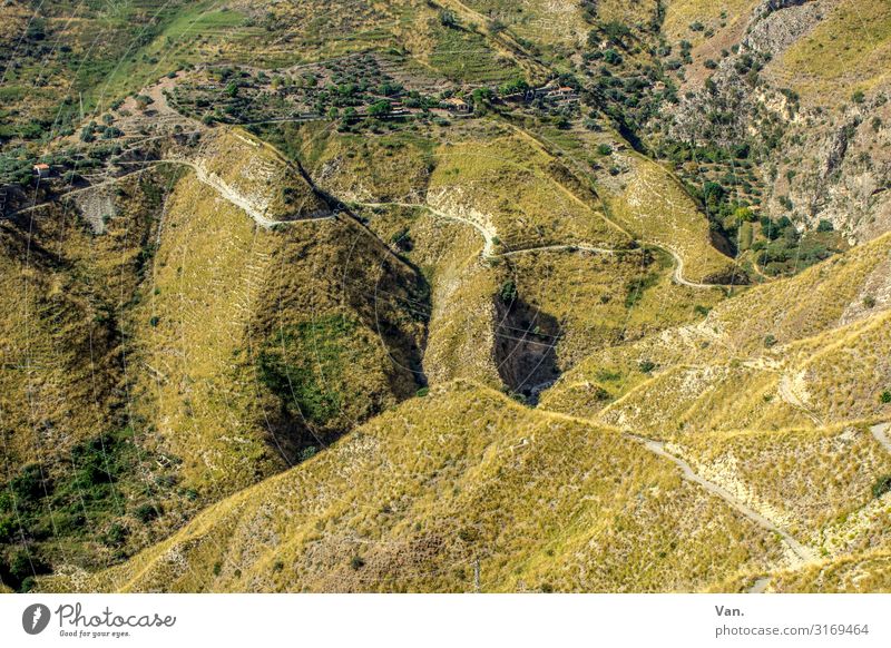 running up that hill Vacation & Travel Hiking Nature Landscape Plant Autumn Grass Bushes Hill Rock Mountain Lanes & trails Green Colour photo Multicoloured