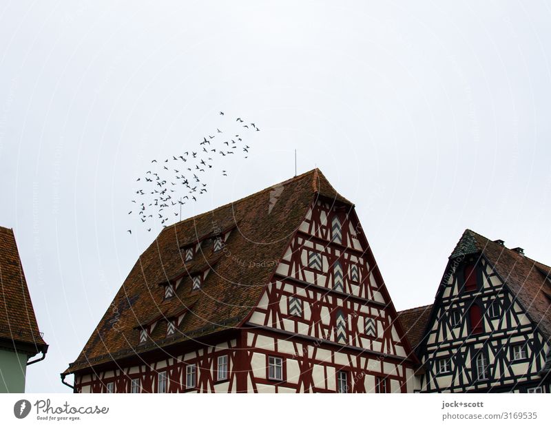 flying club above the old town Half-timbered house Sky Climate Franconia Small Town Old town Facade Bird Flock Flying Authentic Historic Moody Acceptance