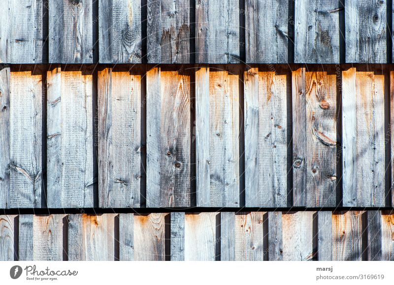 Triple row wooden facade Wooden wall Wall (building) Wood grain Larch Subdued colour Protection Sustainability Brown Uniqueness Together Sharp-edged Old Patina