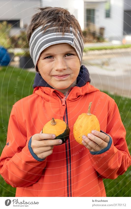 Child with ornamental pumpkins Leisure and hobbies Playing Face 1 Human being 3 - 8 years Infancy Jacket Headscarf Select To hold on Pumpkin Headband Autumn