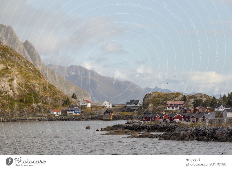 from opposite Vacation & Travel Environment Nature Landscape Sky Beautiful weather Rock Mountain Coast Fjord Reinefjorden Hamnöy Norway Lofotes Scandinavia