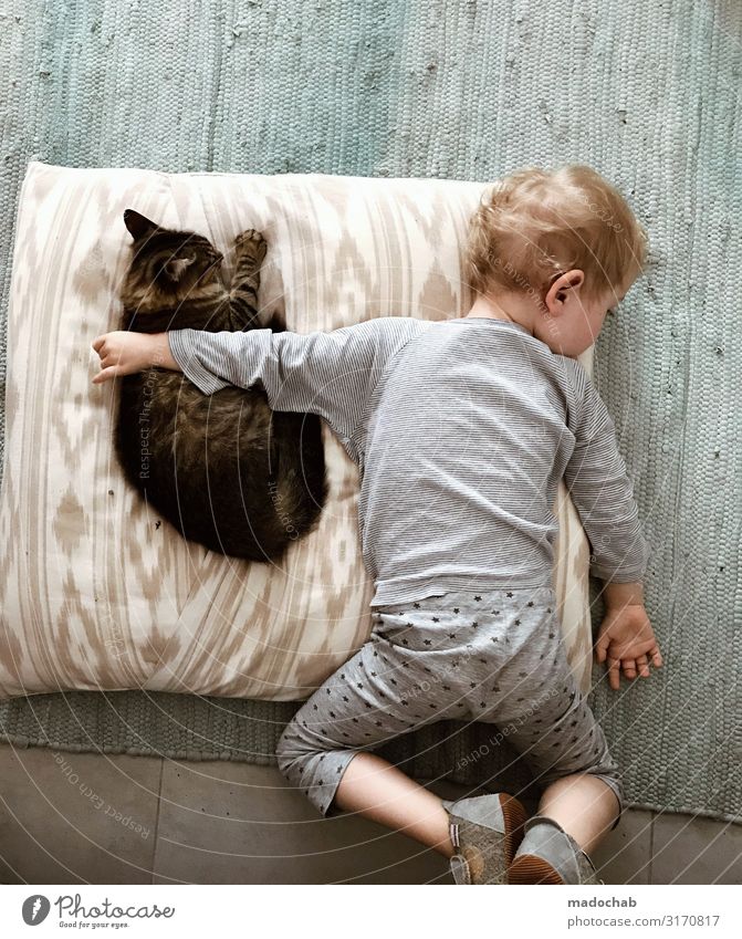 love of animals Lifestyle Living or residing Flat (apartment) Toddler Boy (child) Infancy Animal Cat Emotions Happy Contentment Joie de vivre (Vitality)
