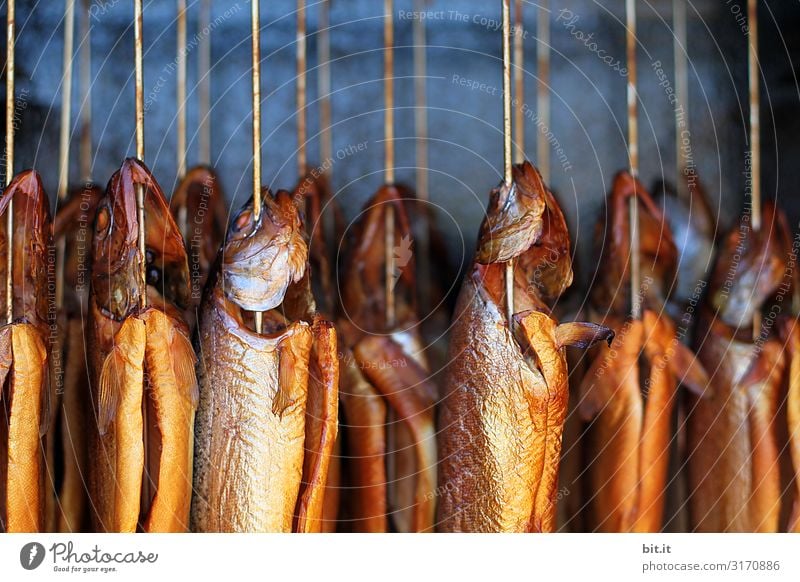 fresh, whole fish, hangs in a smoke oven with smoke for smoking, on a fish market to buy. Fish Kipper Smoked Nutrition Food Deserted Hang Delicious Close-up