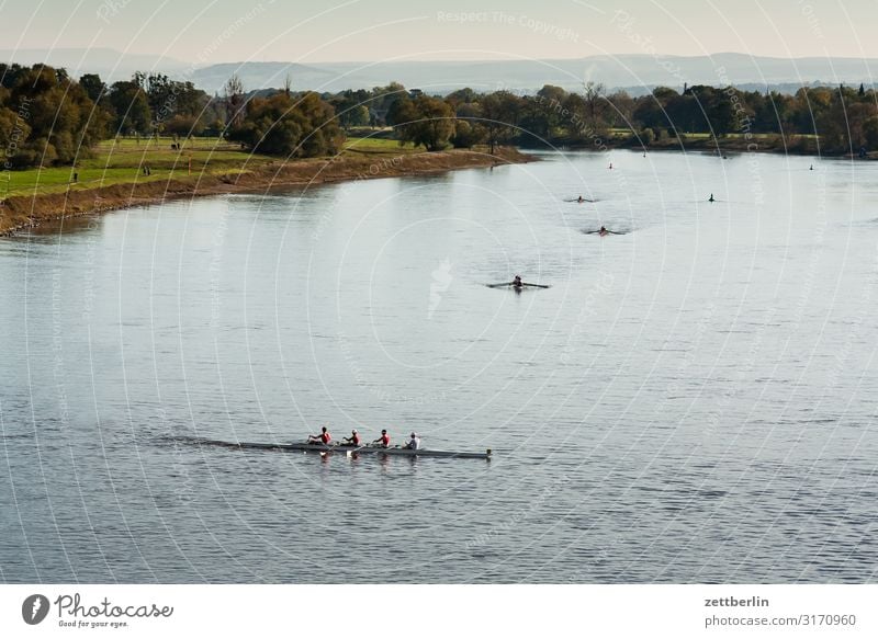 Water sports on the Elbe Blaues Wunder Bridge Dresden Elbufer Saxony White deer Sports Aquatics River Rowing Rowboat Turnaround