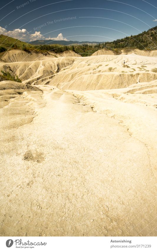 aridity Environment Nature Landscape Plant Earth Sand Air Sky Clouds Horizon Summer Weather Beautiful weather Drought Tree Grass Bushes Hill Mountain