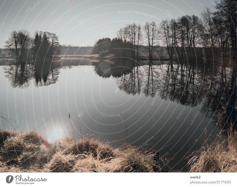 Do not move Environment Nature Landscape Plant Sky Horizon Sun Autumn Beautiful weather Tree Grass Bushes Lakeside Island Pond Calm Idyll Far-off places