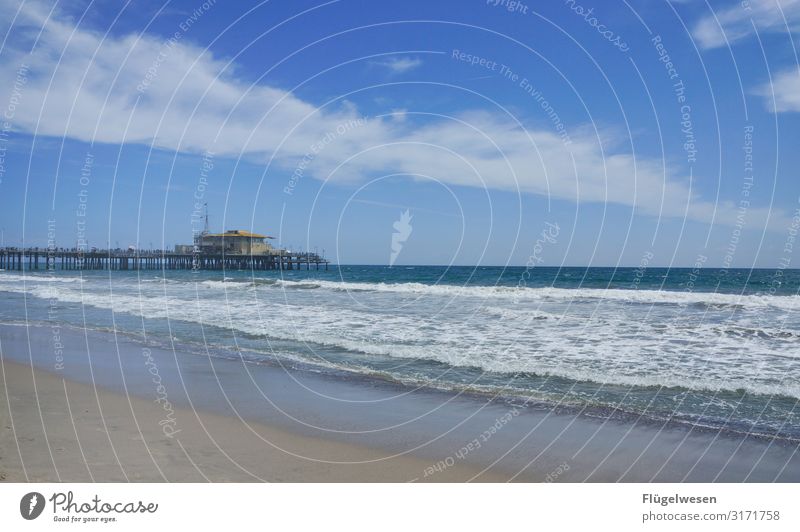 Beach LA Malibu santa monica USA Americas La Los Angeles Palm tree Sky Summer Vacation & Travel Sun Sunbathing Swimming & Bathing Ocean Atlantic Ocean