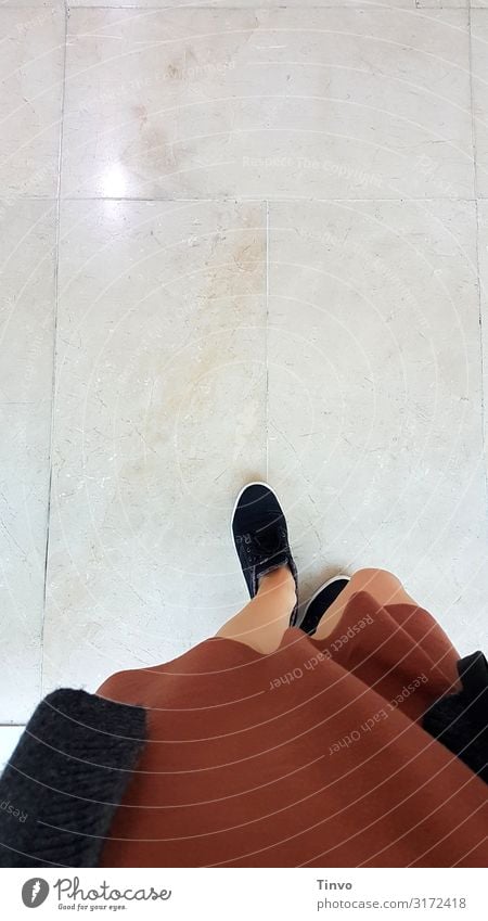 step by step Feminine Woman Adults Legs 1 Human being Clothing Dress Jacket Footwear Going Brown Black Marble floor Museum Shopping malls Stride Colour photo