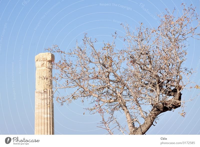 left Art Work of art Architecture Culture Antiquity Environment Cloudless sky Plant Tree Lindos Greece Ruin Manmade structures Column Tourist Attraction