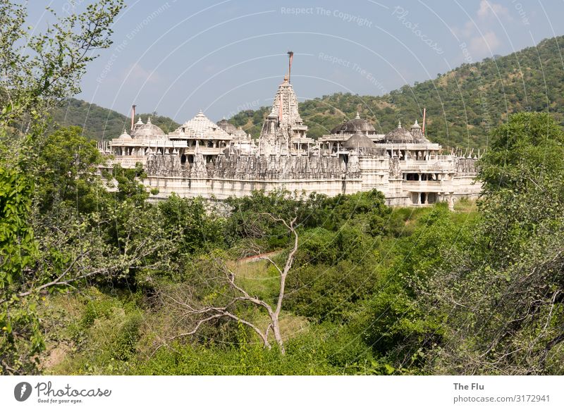 Jain temple in Ranakpur - Rajasthan Vacation & Travel Tourism Far-off places Summer Summer vacation Landscape Plant Cloudless sky Bushes Virgin forest Hill