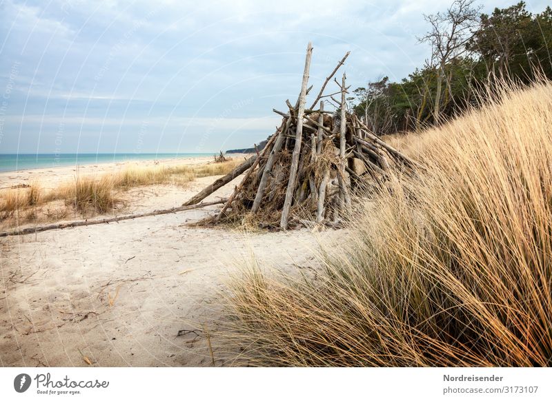 western beach Vacation & Travel Beach Ocean Island Nature Landscape Elements Sand Water Sky Clouds Grass Coast North Sea Baltic Sea Relaxation Maritime Calm