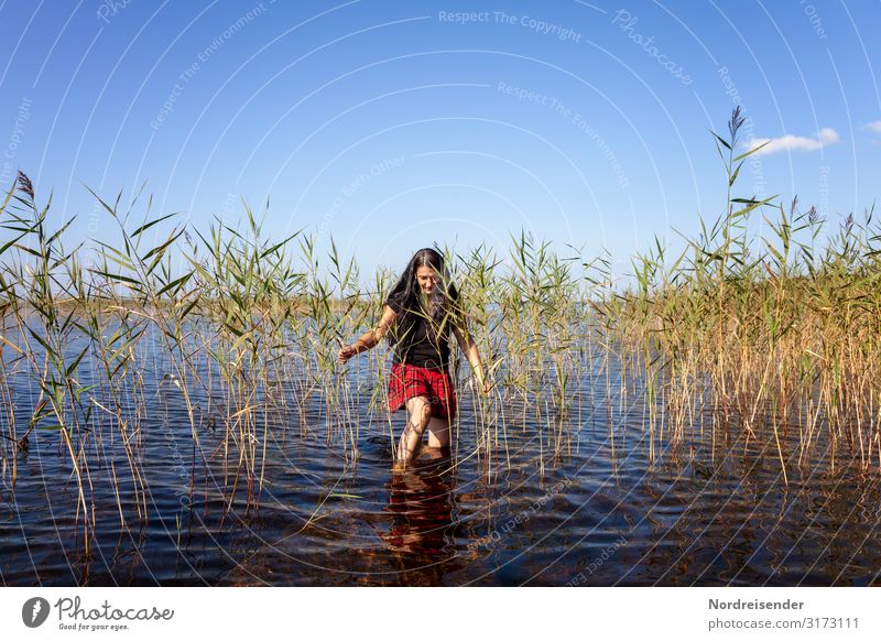 Woman in the reeds Life Harmonious Well-being Swimming & Bathing Leisure and hobbies Vacation & Travel Camping Summer Summer vacation Sun Human being Feminine