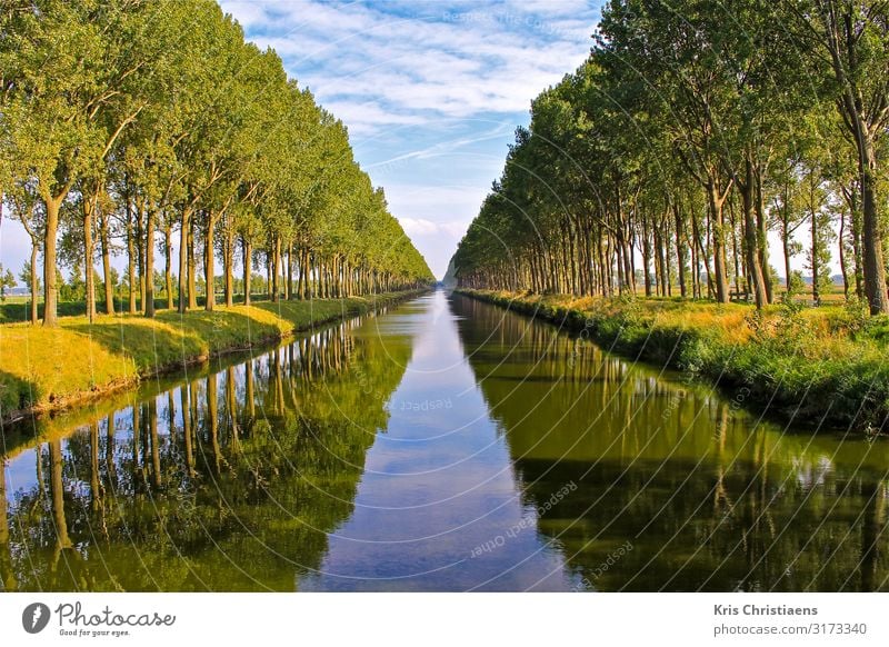 Reflections Nature Landscape Plant Water Spring Summer Tree Brook River Wood Blue Green canal Leopold Canal belgium Rural conservation Flanders leopold