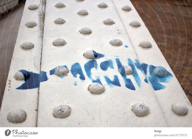 Detail of a metal bridge with painted blue fish Bridge Metal Sign Fish Authentic Exceptional Uniqueness Blue Gray White Bizarre Design Creativity Colour photo