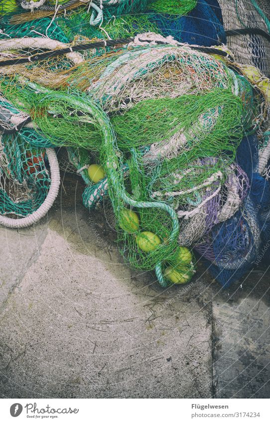Green baskets for fishing - a Royalty Free Stock Photo from Photocase
