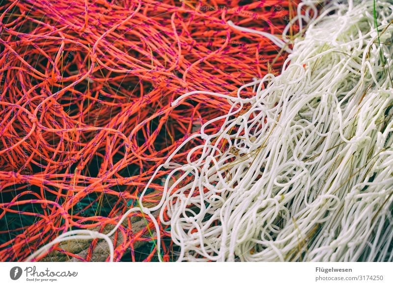 Anonymous man hand untangling fishing net threads to catch fish in daylight  - a Royalty Free Stock Photo from Photocase