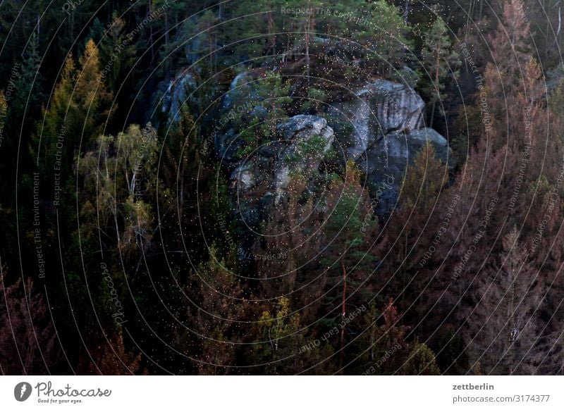 Flying over the Polenztal valley Mountain Elbsandstone mountains Relaxation Rock Vacation & Travel Travel photography Autumn hollow stone Hill Small Town