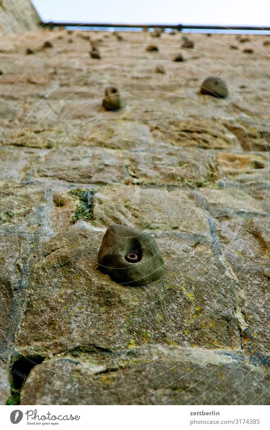 climb Mountain Elbsandstone mountains Relaxation Rock Vacation & Travel Autumn Landscape Saxon Switzerland Hiking Climbing Bouldering Sports Leisure and hobbies