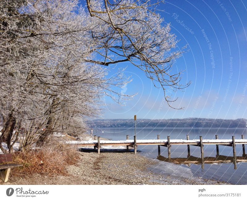 hoarfrost at the lake Environment Nature Landscape Water Cloudless sky Ice Frost Snow Tree Lakeside Navigation Movement Think Going Walking Hiking Blue White