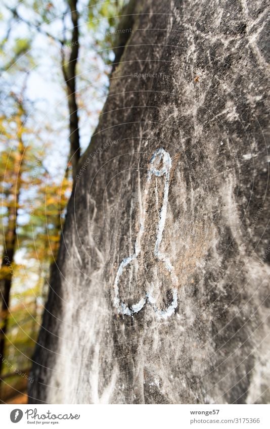 Waymarking for a nude hiking trail in Saxon Switzerland! Autumn hiking sign path marking Penis Sexism open-mindedness Hiking trails Nude Hiking