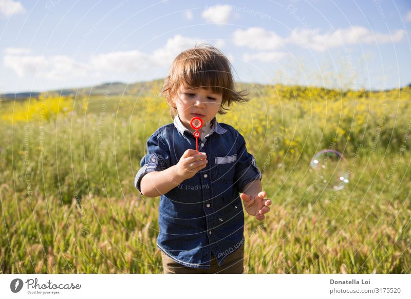 Child makes soap bubbles in the outdoors Lifestyle Summer Human being Toddler Boy (child) 1 1 - 3 years Nature Plant Clouds Grass Wild plant Field Jeans Playing