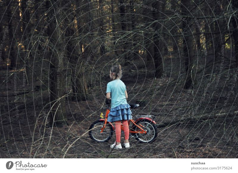 girl alone in the forest Child Girl Undergrowth Forest Tree Branch Woodground Dark Loneliness Individual Skirt Little Red Riding Hood Lost Doomed Search Bicycle