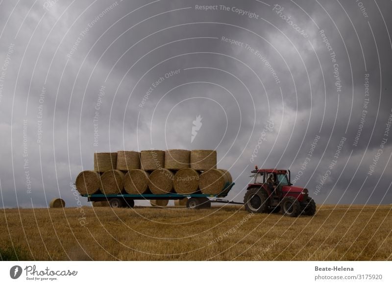 Harvest time 9 harvest season harvested wagonload Grain bales Harvest success Tractor Dark clouds Storm Agriculture Clouds Exterior shot Storm clouds Threat