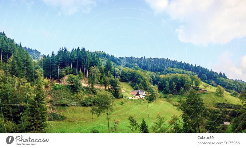 Landscape in the Black Forest Vacation & Travel Tourism Trip Summer Nature Beautiful weather Mountain Deserted Tradition Europe Baden-Wuerttemberg