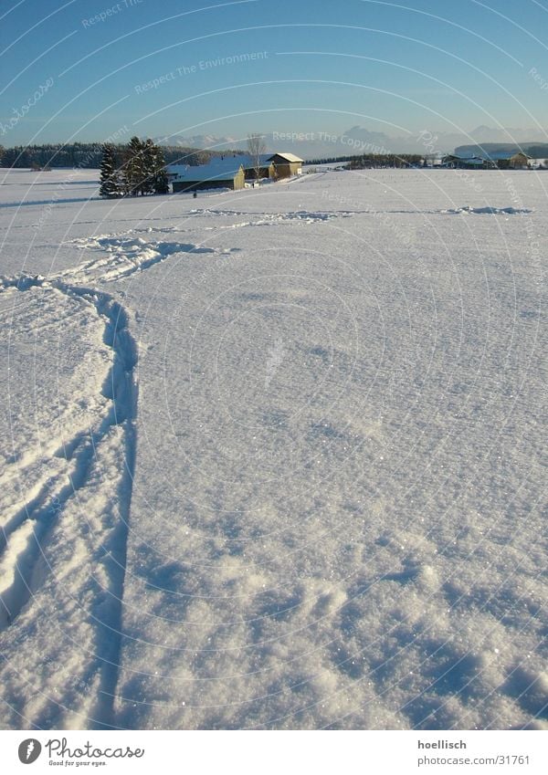 winter impression Tree House (Residential Structure) Footprint Allgäu Hill Tracks Winter Mountain Snow Feet Sun Sky Alps