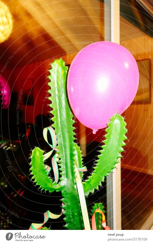 End of the party Night life Feasts & Celebrations Cactus Artificial plant Decoration Balloon Kitsch Odds and ends Plastic Catch To hold on Threat Trashy Crazy